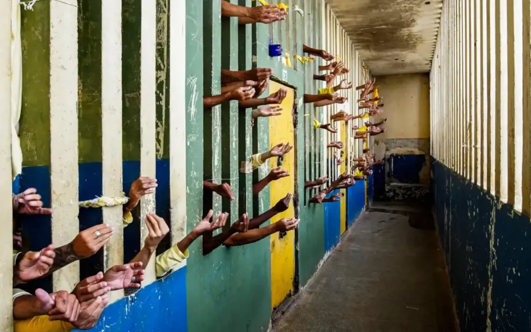 Após descriminalização, CNJ vai revisar prisões por tráfico de maconha