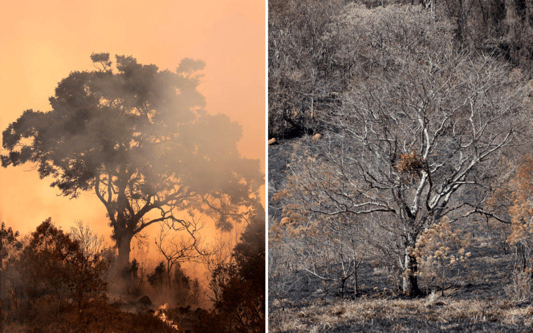 +B Site Banner-min (1)