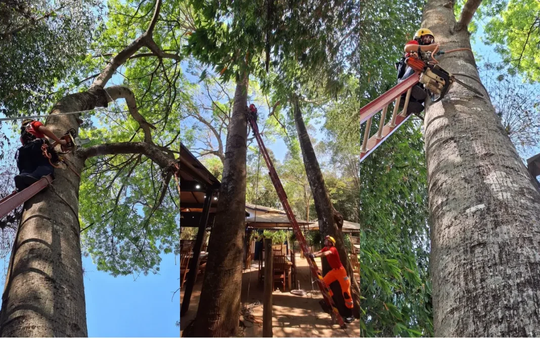 +B Site Banner - 2024-10-03T073325.098