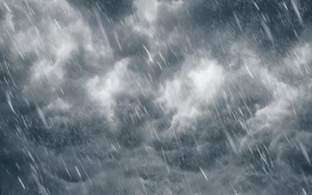 +B Site Banner - 2024-10-18T080626.197