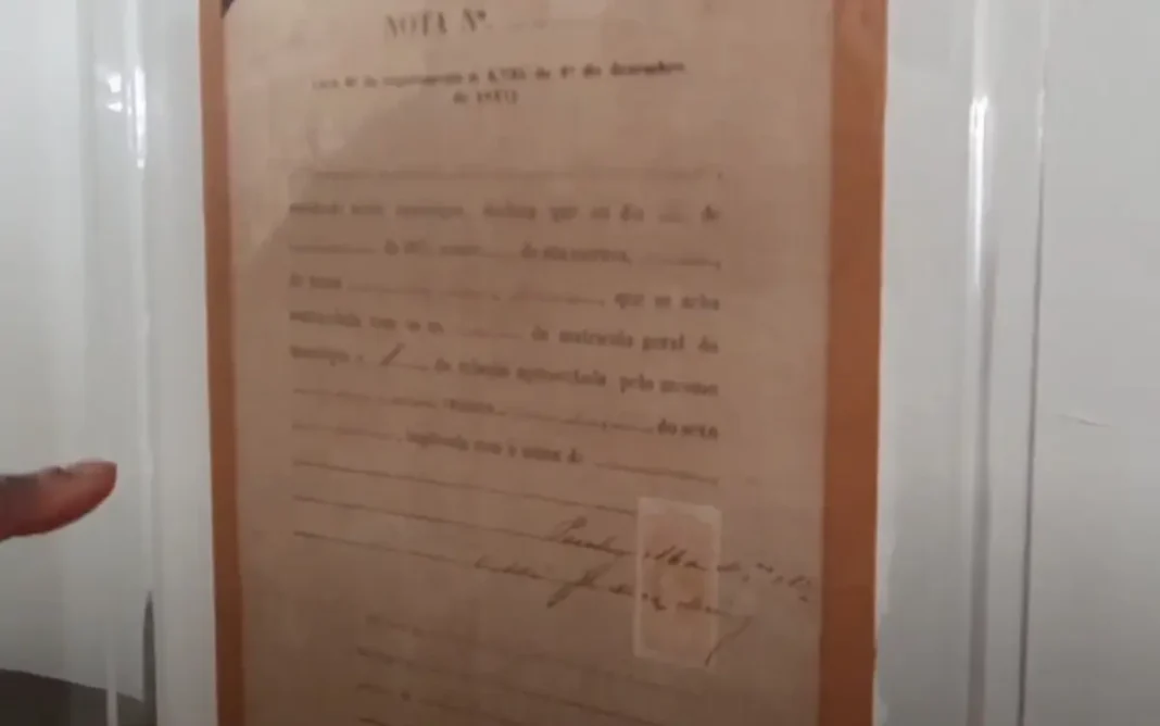 +E Site Banner - 2024-11-08T140503.257