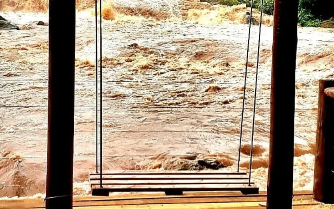 +E Site Banner - 2024-12-07T093045.907