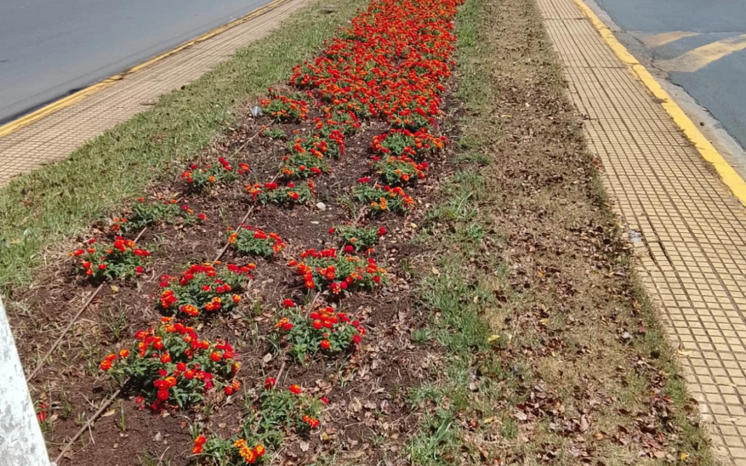 Secretaria de Turismo lança projeto ‘Extrema Florida’ e revitaliza o cenário urbano