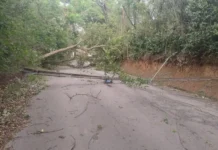 Equipes da Energisa trabalham nos reparos aos danos causados por chuvas e ventos fortes na região