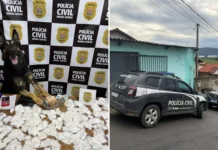Operação “Carnaval Seguro” apreende drogas escondidas na fralda de indivíduo