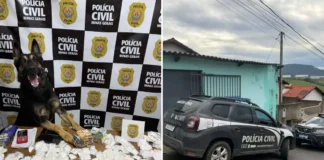 Operação “Carnaval Seguro” apreende drogas escondidas na fralda de indivíduo