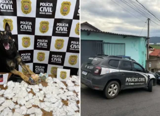 Operação “Carnaval Seguro” apreende drogas escondidas na fralda de indivíduo