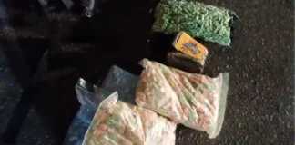 PRF apreende drogas na Fernão Dias e prende dois suspeitos, entre eles um estrangeiro