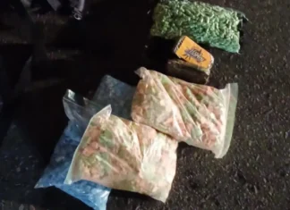 PRF apreende drogas na Fernão Dias e prende dois suspeitos, entre eles um estrangeiro