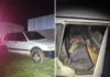 Covardia: idoso de 83 anos é baleado e agredido durante roubo em sítio