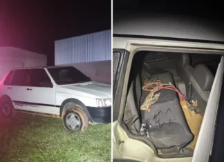 Covardia: idoso de 83 anos é baleado e agredido durante roubo em sítio