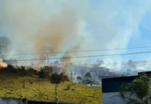 Incêndio atinge uma área de pastagem às margens da Fernão Dias e mobiliza equipes de emergência em Extrema