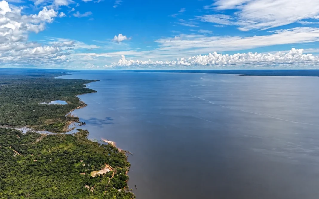 Veja os planos de governo de Flávio Bolsonaro e Lula para meio ambiente e clima
