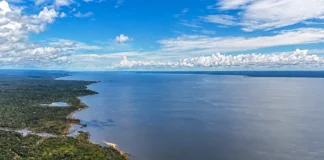 Veja os planos de governo de Flávio Bolsonaro e Lula para meio ambiente e clima